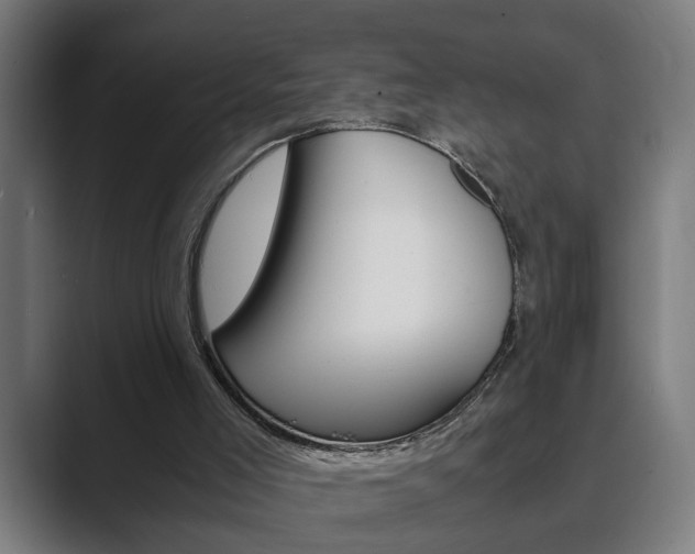 X0000089930005200706290805
