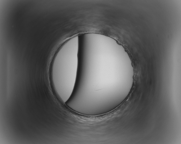 X0000089930006200706290805