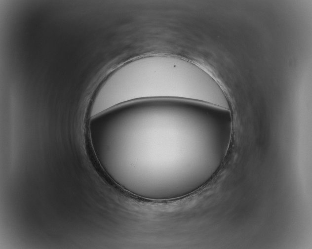X0000089930007200706290805