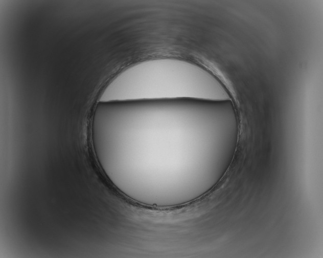 X0000089930010200706290804
