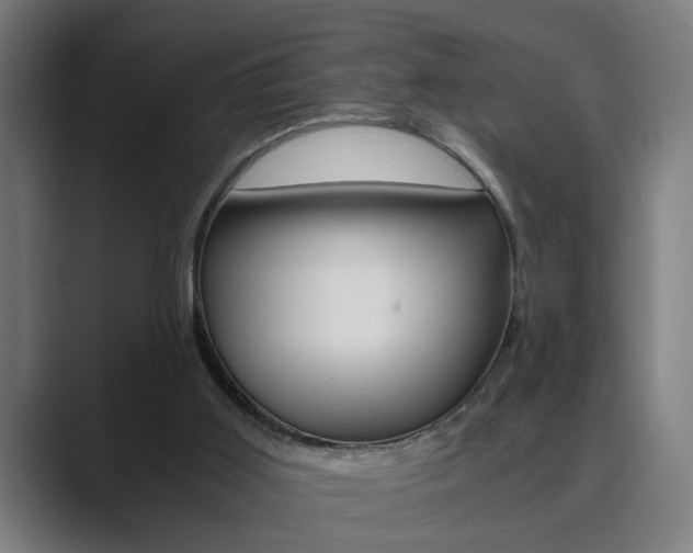 X0000089930011200706290804