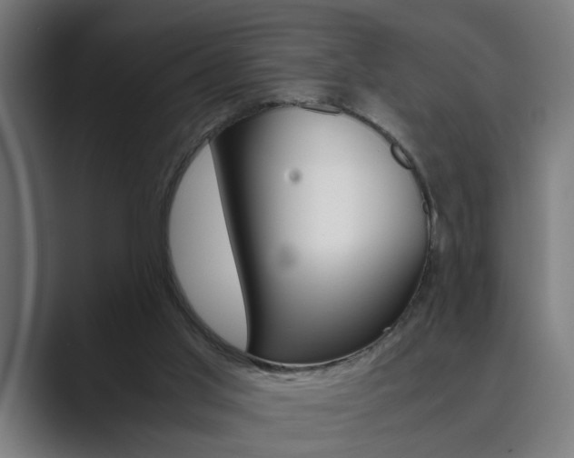 X0000089930013200706290804