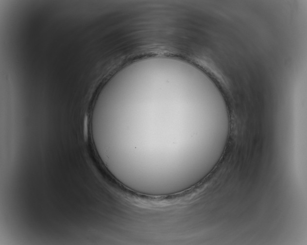 X0000089930014200706290804