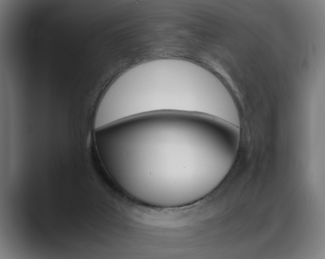 X0000089930019200706290804