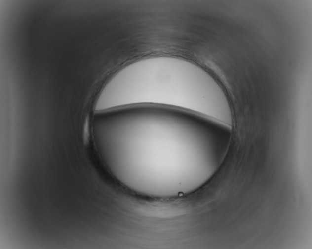 X0000089930020200706290804