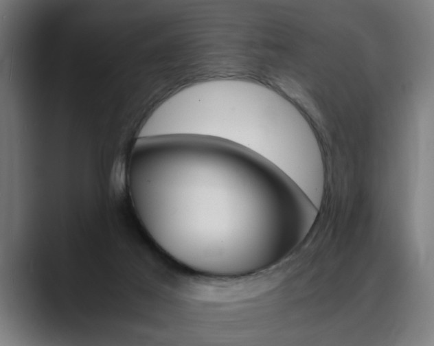X0000089930021200706290804