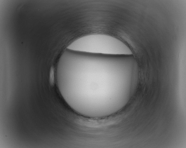 X0000089930022200706290804