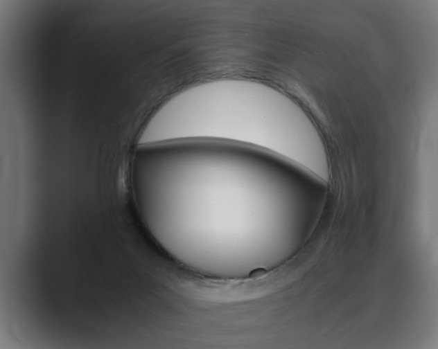 X0000089930023200706290804