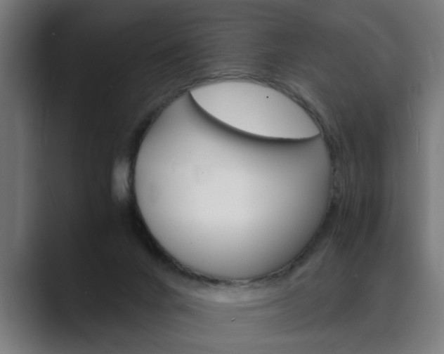 X0000089930024200706290804
