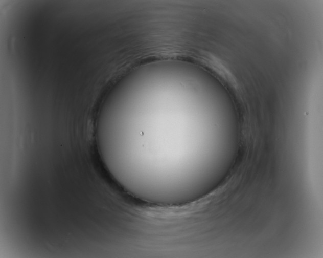 X0000089930025200706290804