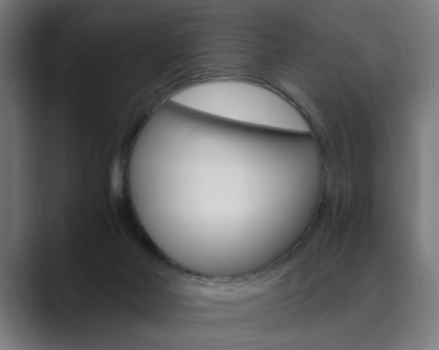 X0000089930026200706290804