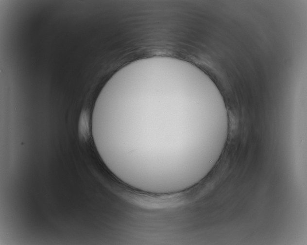 X0000089930028200706290804