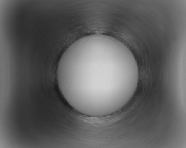 X0000089930030200706290804