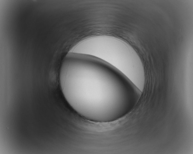 X0000089930031200706290804