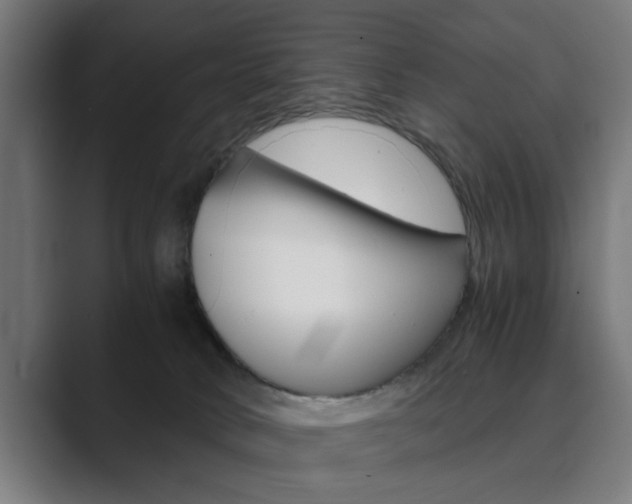 X0000089930034200706290804