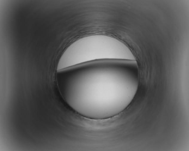 X0000089930035200706290804
