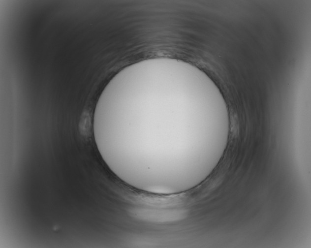 X0000089930036200706290804