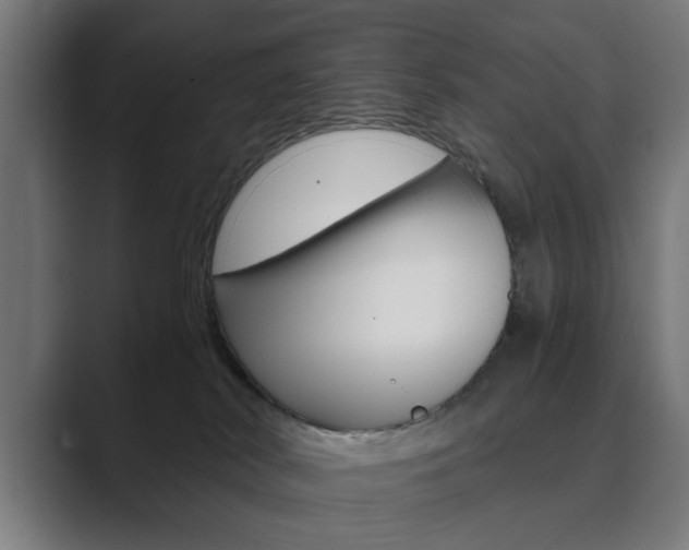 X0000089930038200706290804