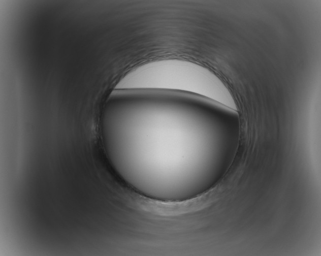 X0000089930039200706290804
