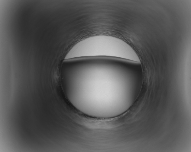 X0000089930040200706290804