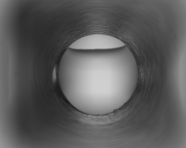 X0000089930042200706290804