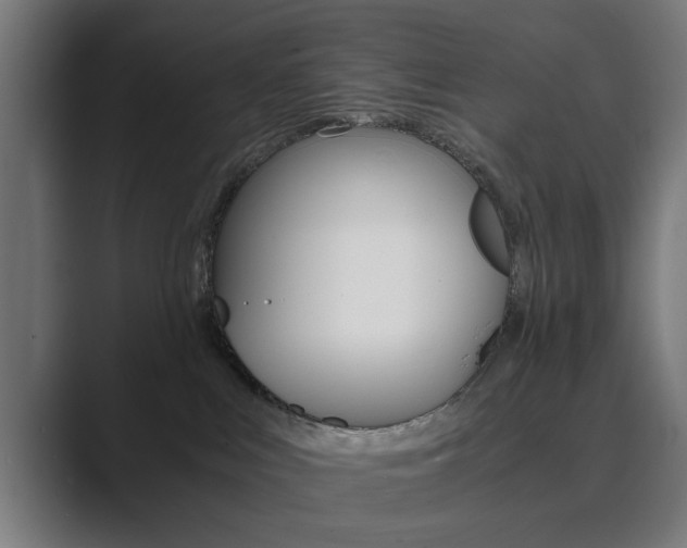 X0000089930043200706290804