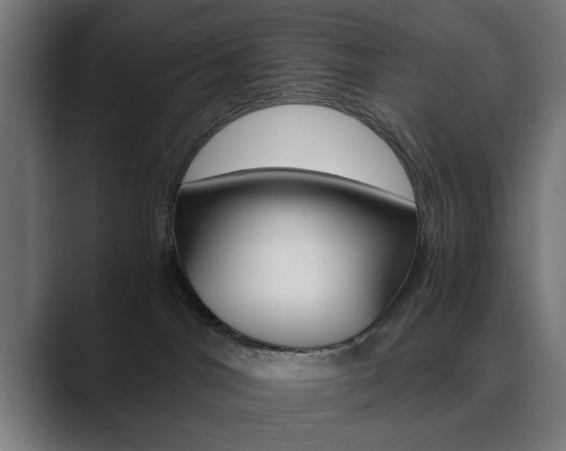 X0000089930044200706290804