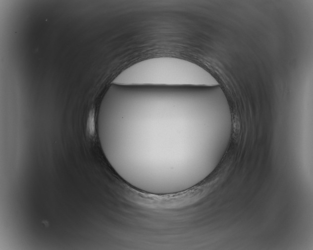 X0000089930046200706290804