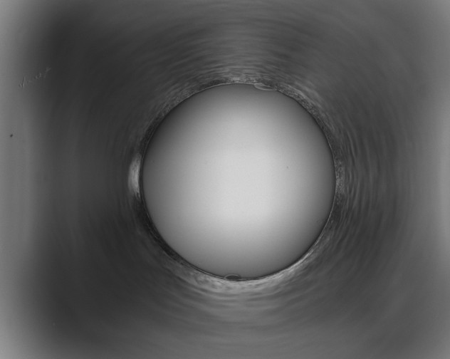 X0000089930047200706290804