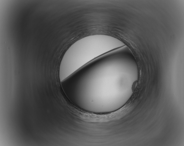 X0000089930048200706290804