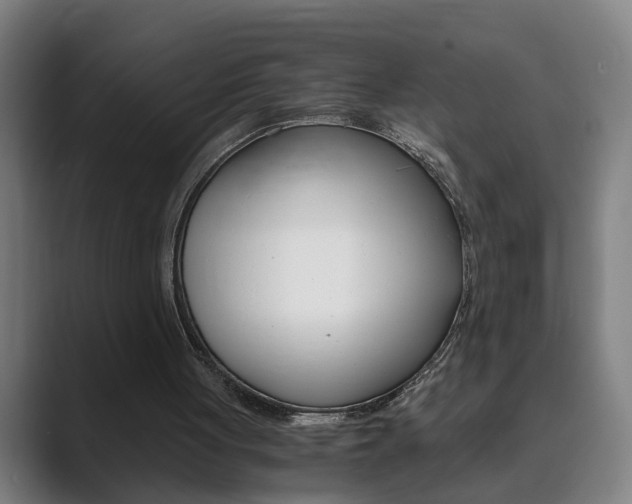 X0000089930051200706290803