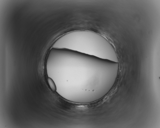 X0000089930053200706290803