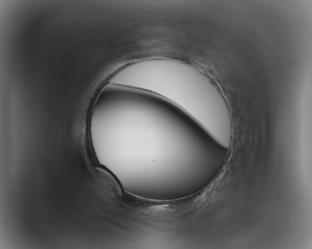 X0000089930054200706290803