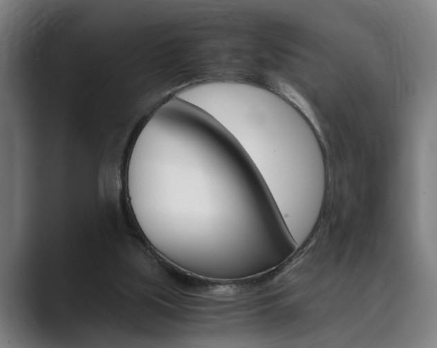 X0000089930059200706290804