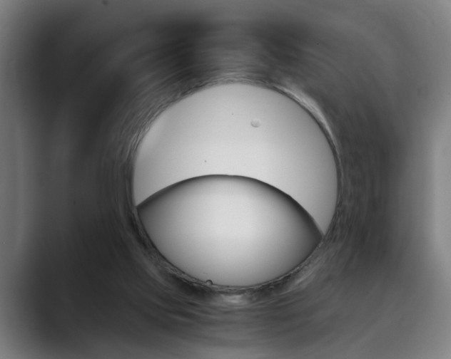 X0000089930061200706290804