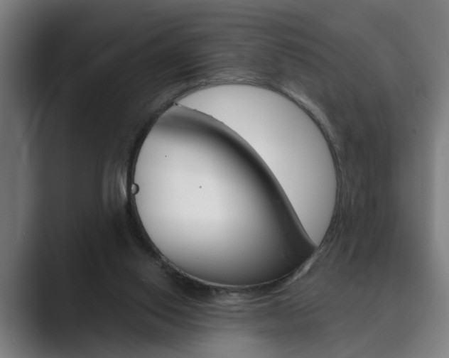 X0000089930062200706290804