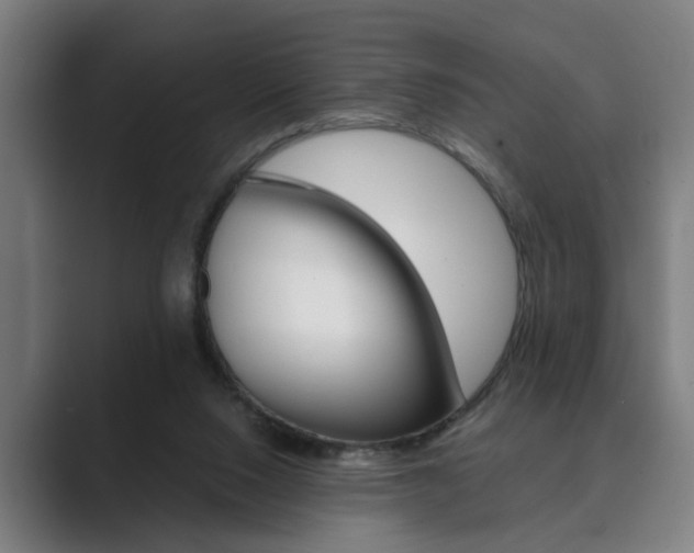 X0000089930064200706290804