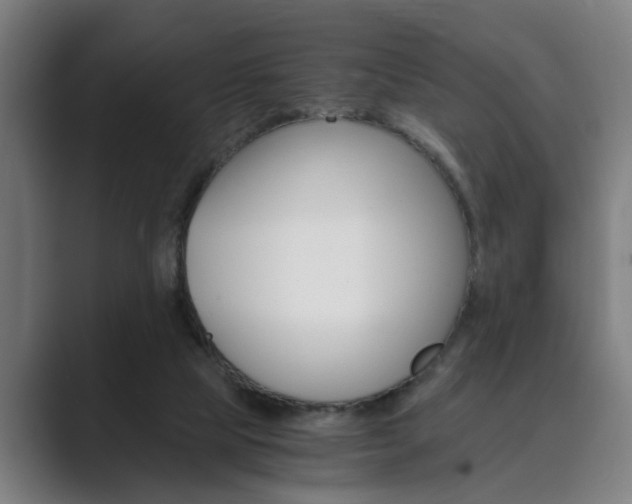 X0000089930065200706290804