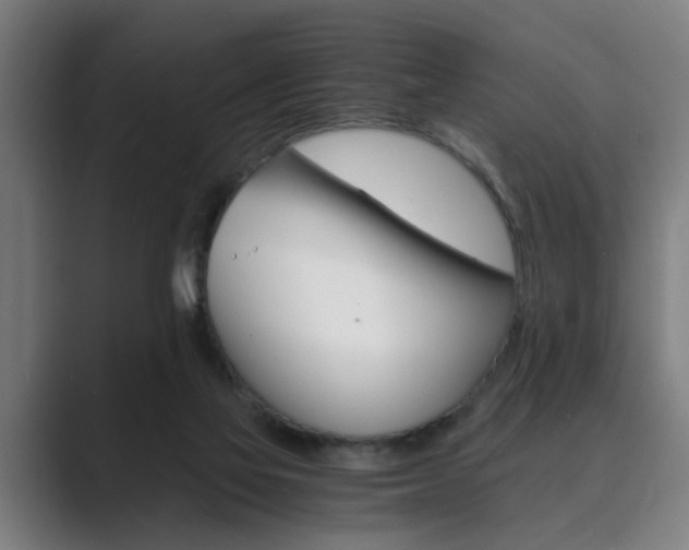 X0000089930069200706290804