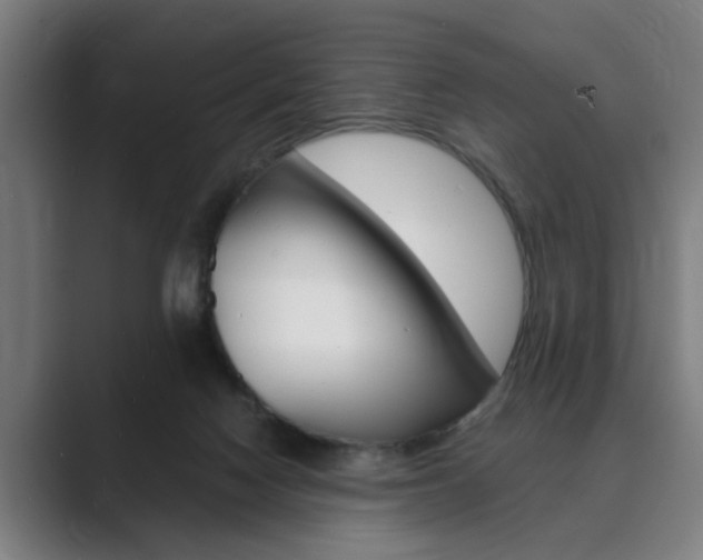 X0000089930074200706290804