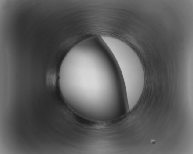 X0000089930076200706290804