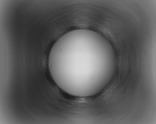 X0000089930083200706290804