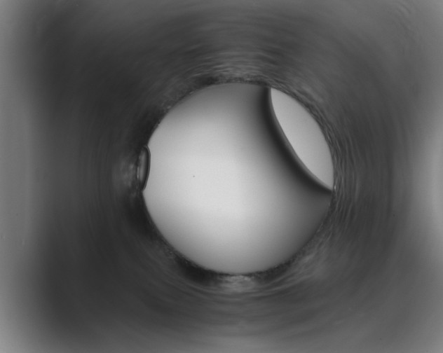 X0000089930087200706290804