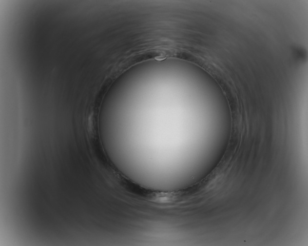 X0000089930088200706290804