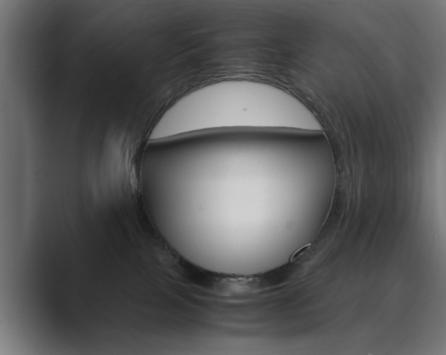 X0000089930089200706290804