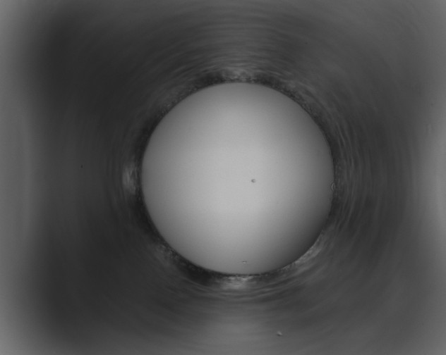 X0000089930090200706290804