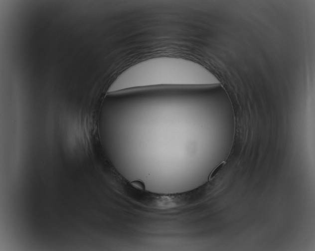 X0000089930091200706290804