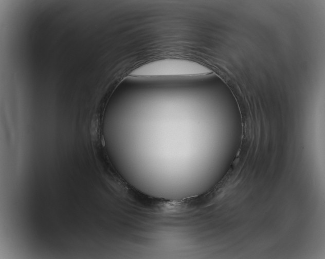 X0000089930092200706290804