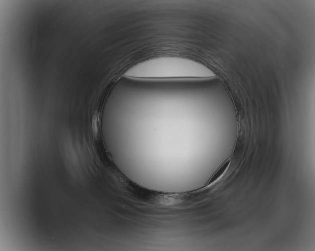 X0000089930094200706290804