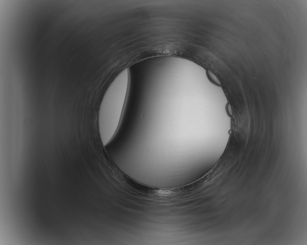 X0000089930095200706290804